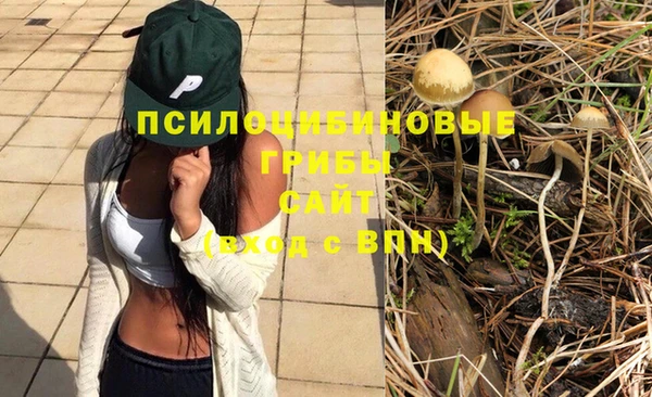 индика Новокубанск