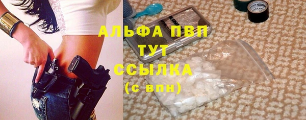 индика Новокубанск