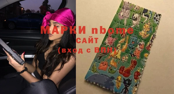 индика Новокубанск